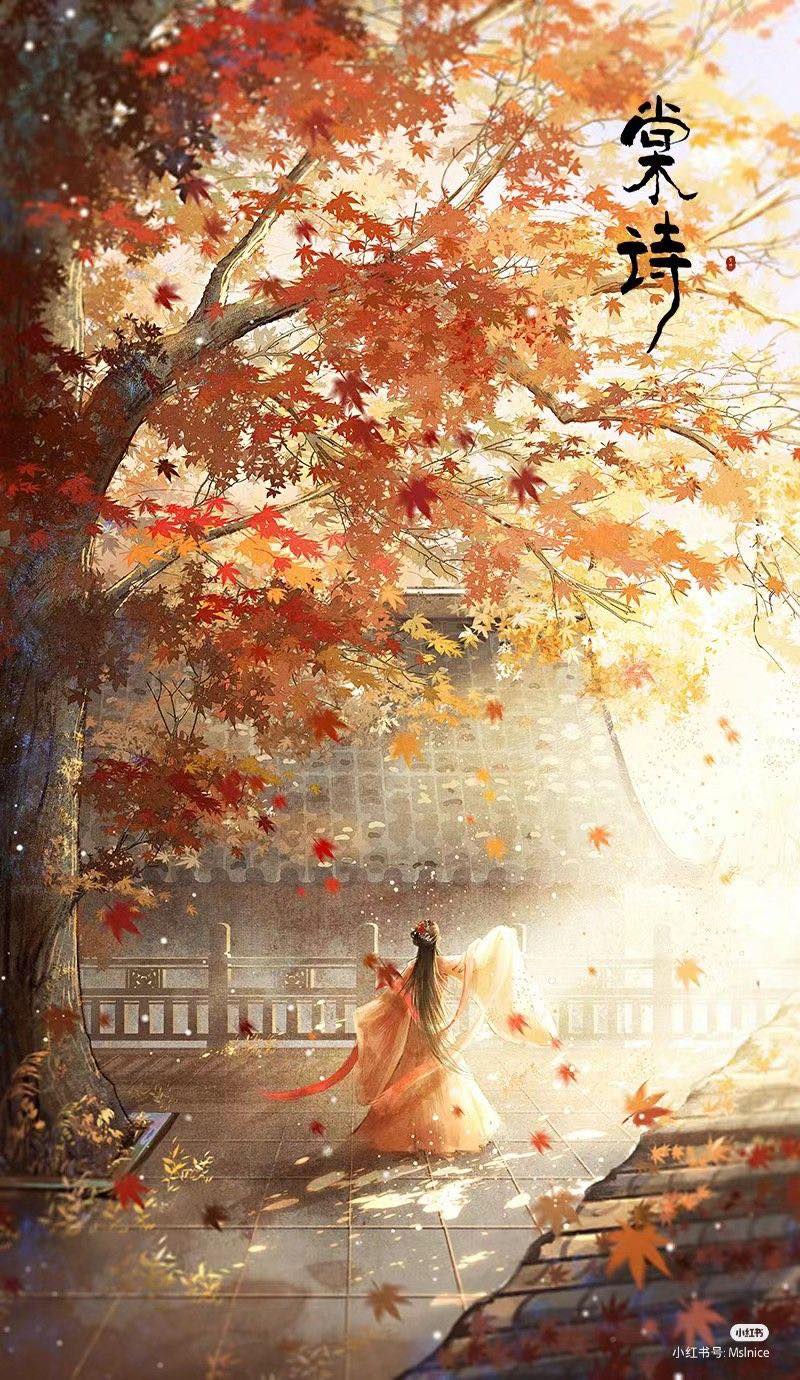 Chẳng Oán Hoa Tàn