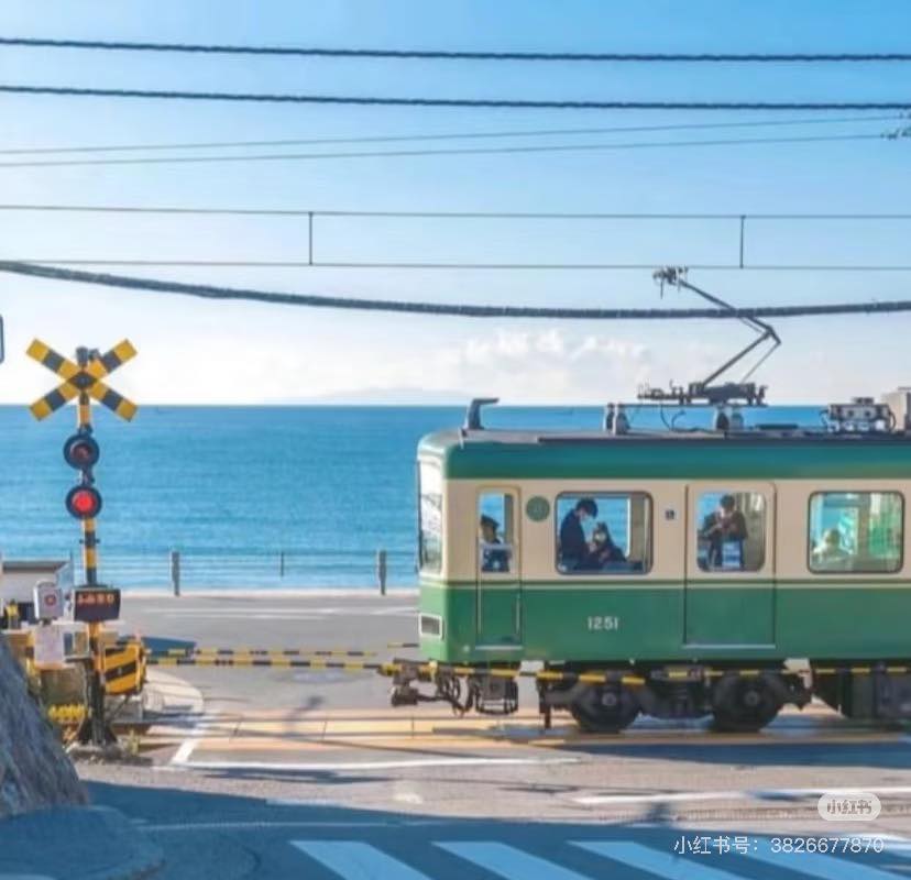 Đường Hoa Nở Muộn