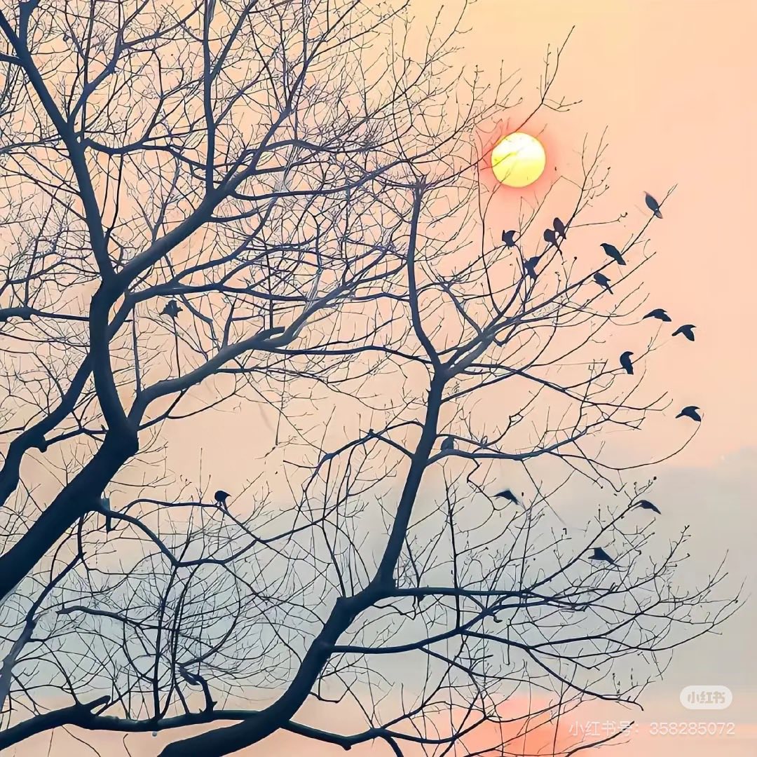 Gió Mới Thổi Qua Mùa Cũ