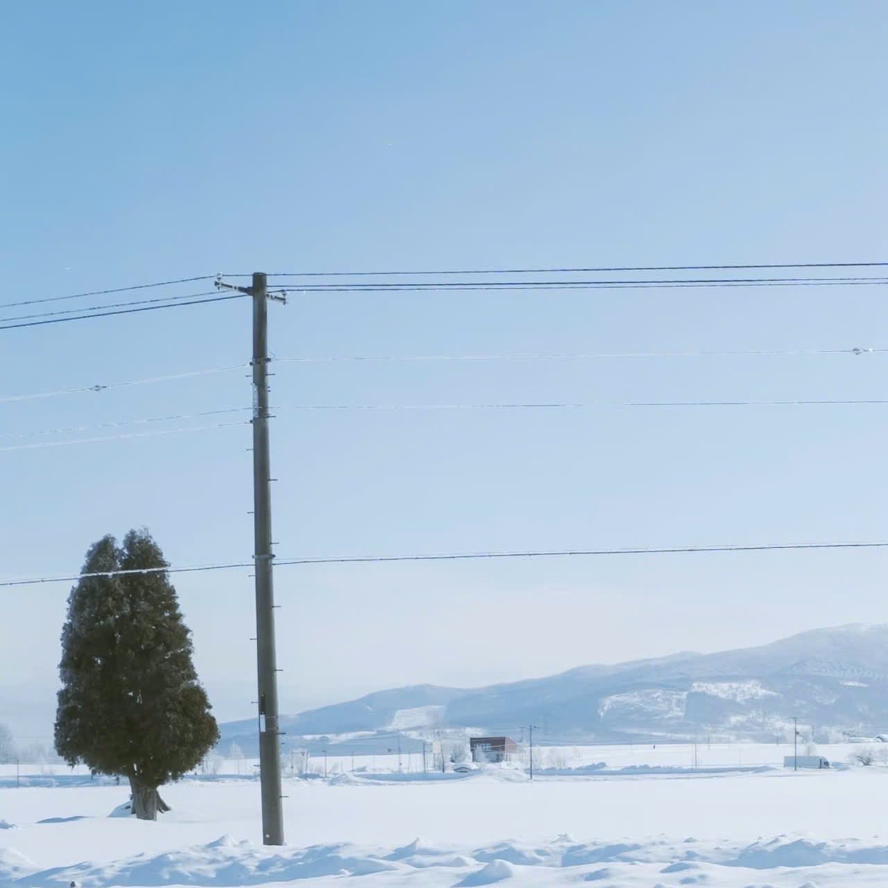 Em Đã Không Cần Anh Nữa