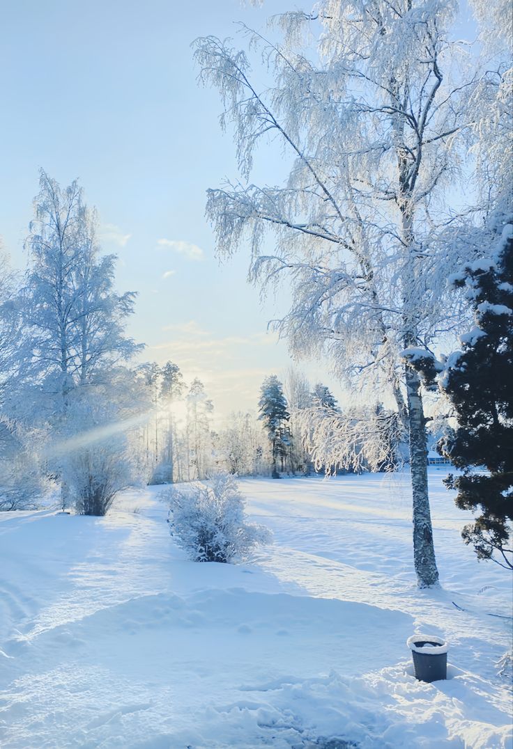 Chuyến Tàu Không Quay Lại