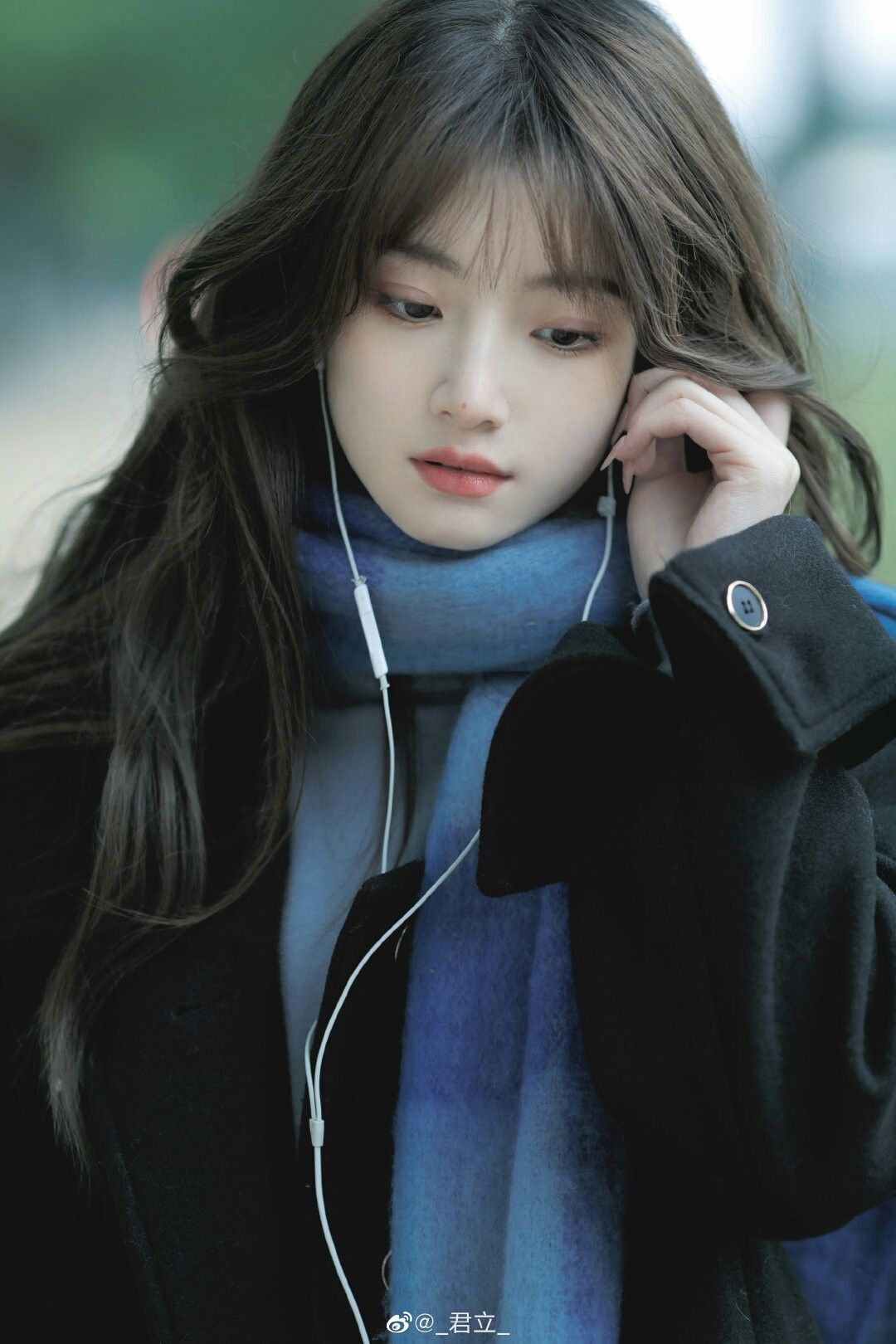 Hoa Dại Không Gục Ngã