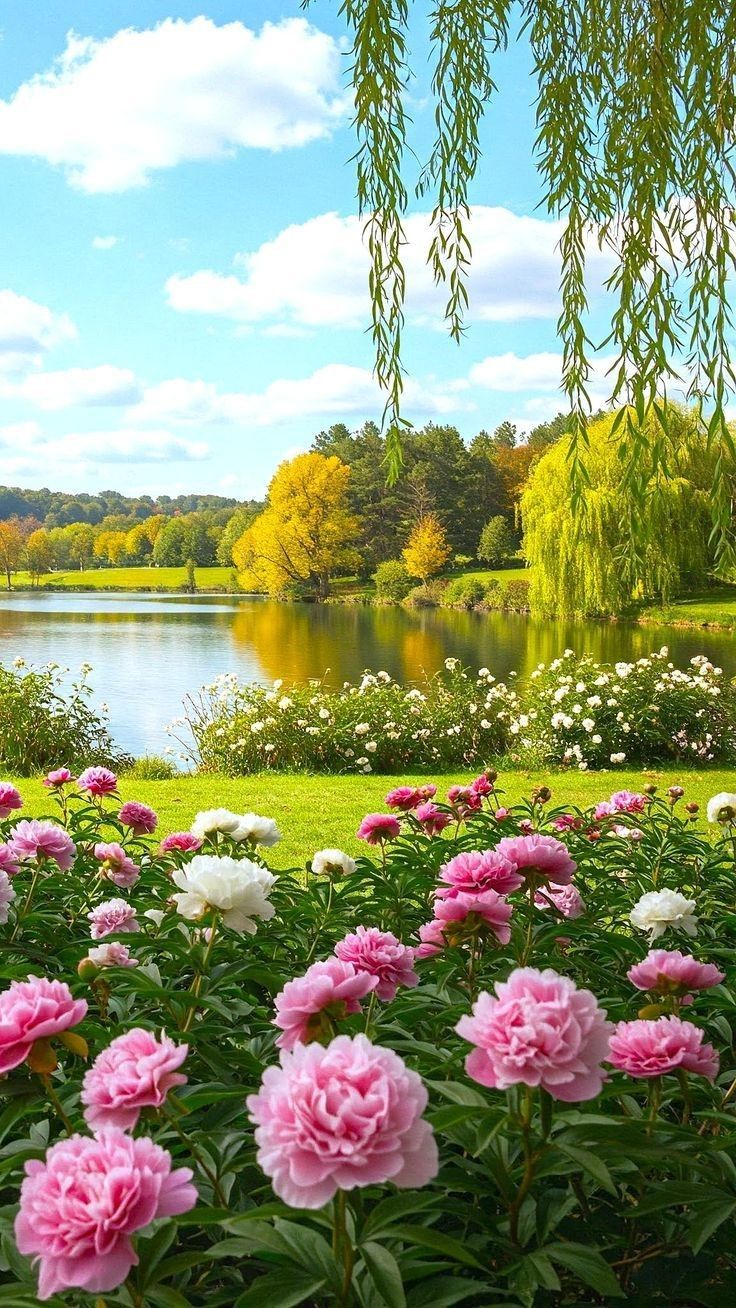 Hôn Nhân Không Bình Yên