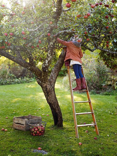 Quả Báo Tự Gieo, Đừng Kêu Ai Gặt Hộ
