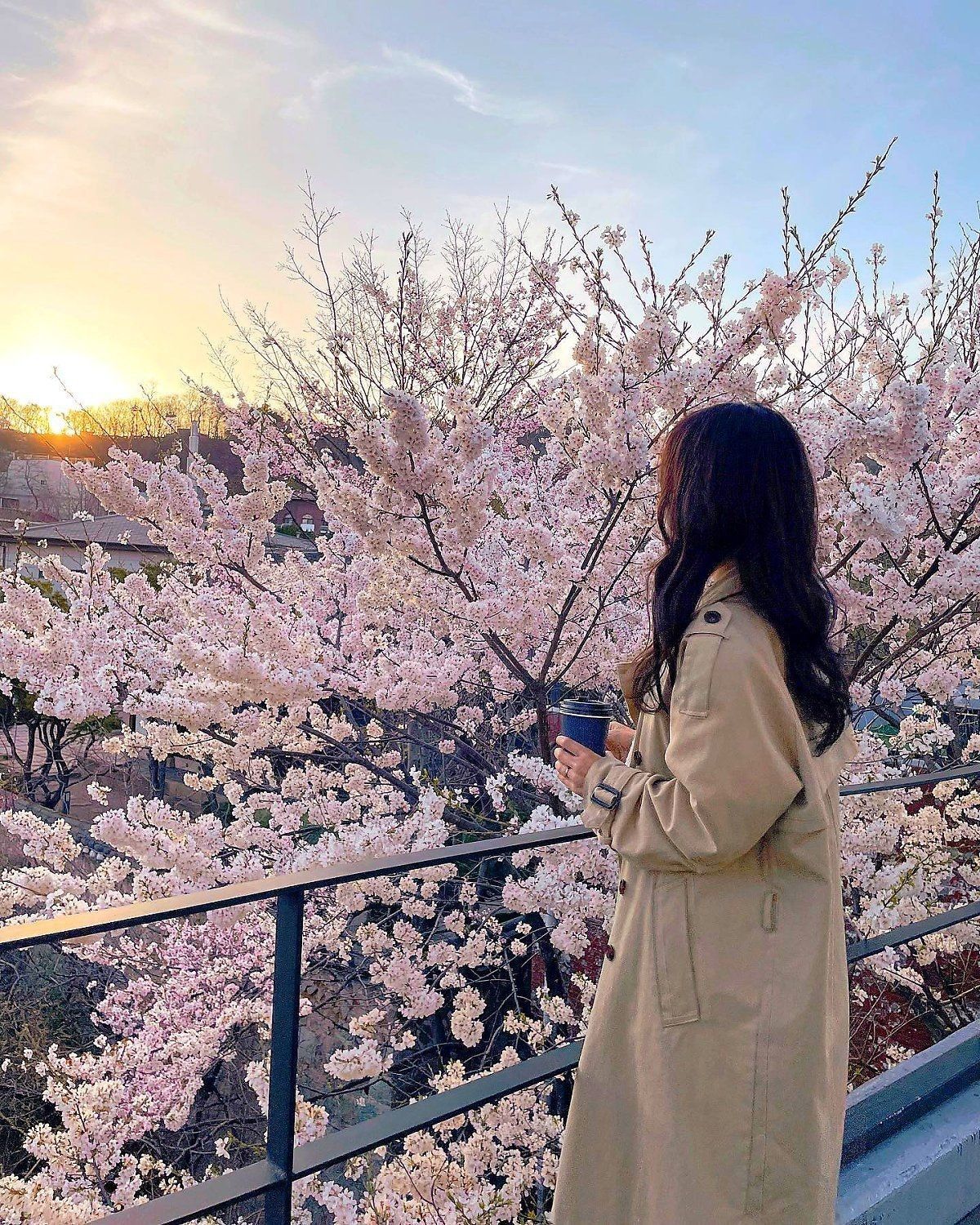 Đứa Thương Đứa Ghét